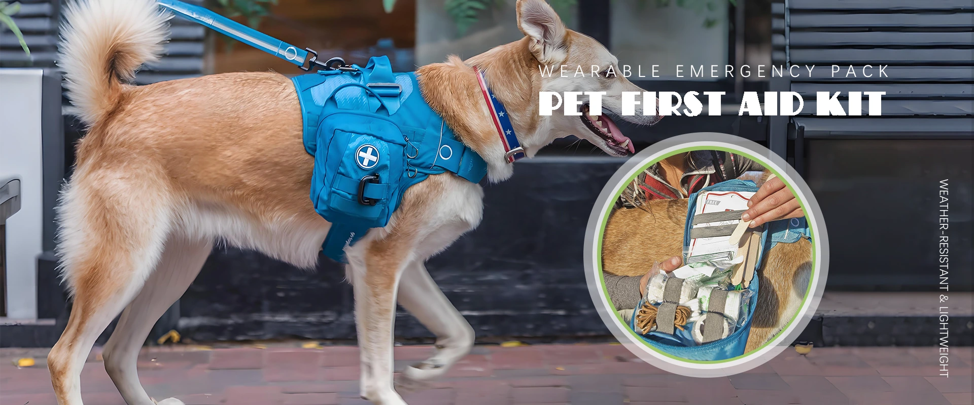 Producent zestawu pierwszej pomocy dla zwierząt